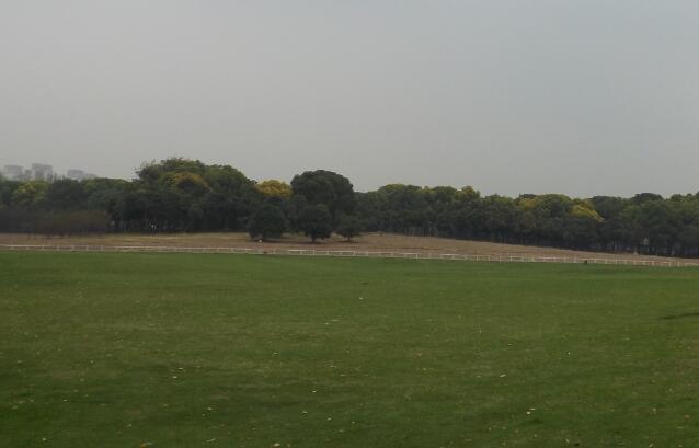 �������f�_���_���T�¼���ʲô���_���T�¼���