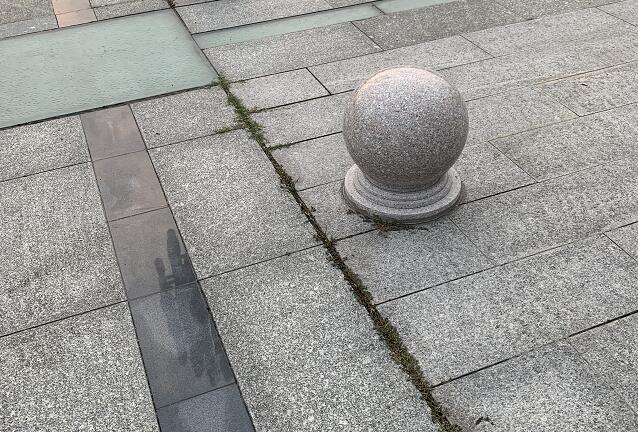 宋書航啪阿十六,港娛之春帶著避水珠打撈沉船