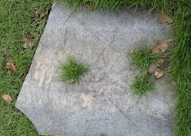 �������������ԭ����������挍�ֲ��Y���m
