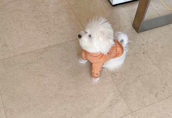 ʲô�ǲ�����?�����\�Ӻ͟o���\�ӵą^�e