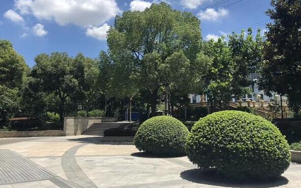 中國軍人被印度扣留,印方已向中方移交走失士兵