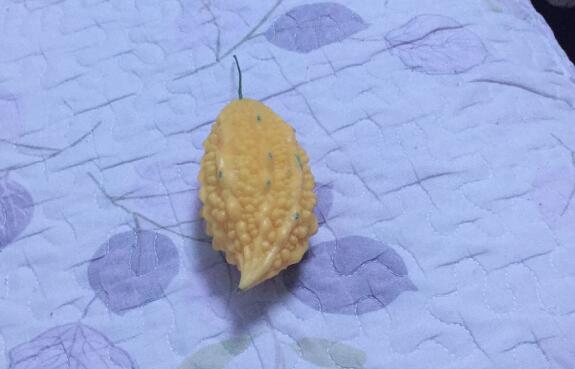 石榴怎么做好吃?菠蘿蜜核的功效與作用