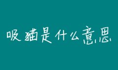 吸貓是啥意思是什么?吸貓為什么是犯法的?
