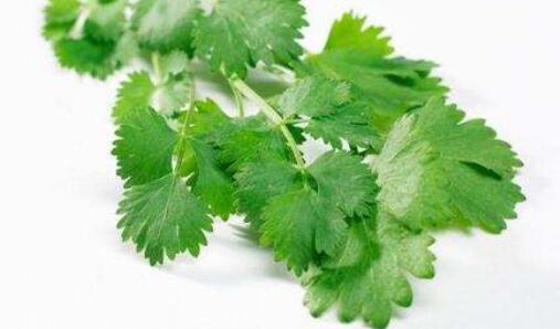 ӑ�������