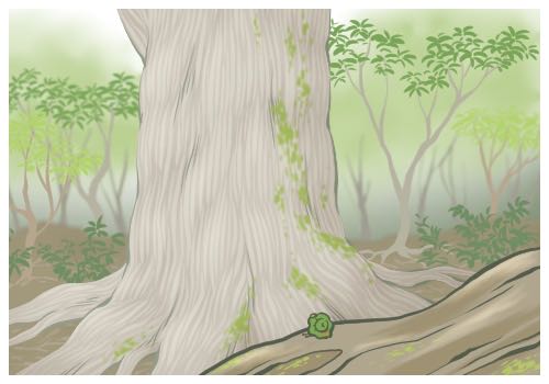 ���޵�һ�������ڱ��n���W(w��ng)��W(w��ng)��