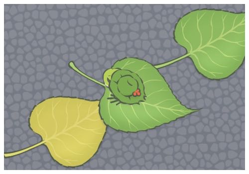 ��������ֹ����ǰ���y�W���R�뾳