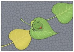 美駐日大使要訪問福島嘗海鮮,美國商務部長稱持樂觀態度離開中國