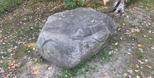 �����Ƥ���ԭʯ����