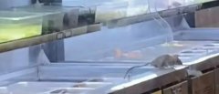����������C�T���@�F����,����������C�����¼����m