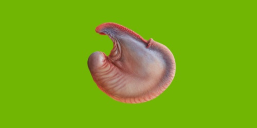 Ů��ֱ�����uƨ��ë�f���^��