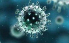 中疾控提醒鼻病毒陽性率上升,無特效藥和疫苗